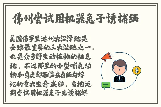 欧洲一片一**一片av